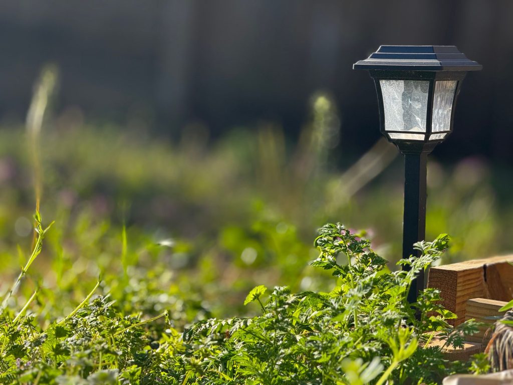 Lampe solaire sur piquet avec son panneau photovoltaïque au-dessus, plantée dans un massif