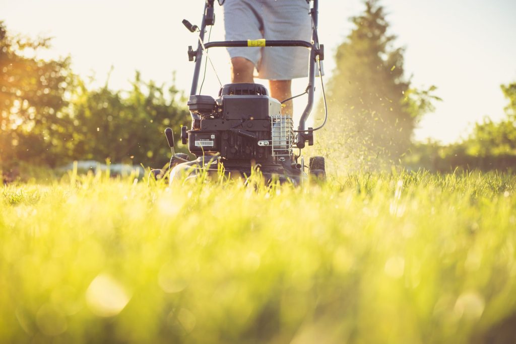 Tondeuse thermique poussée coupant une herbe haute sous le soleil
