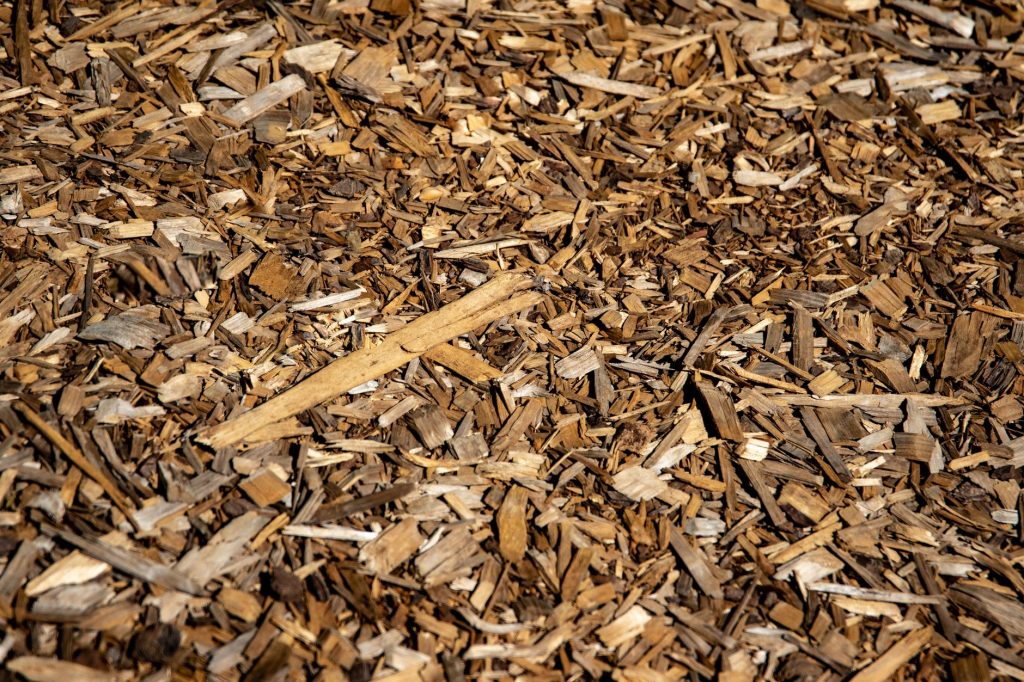 Gros plan sur un broyat de bois clair éclaté en copeaux