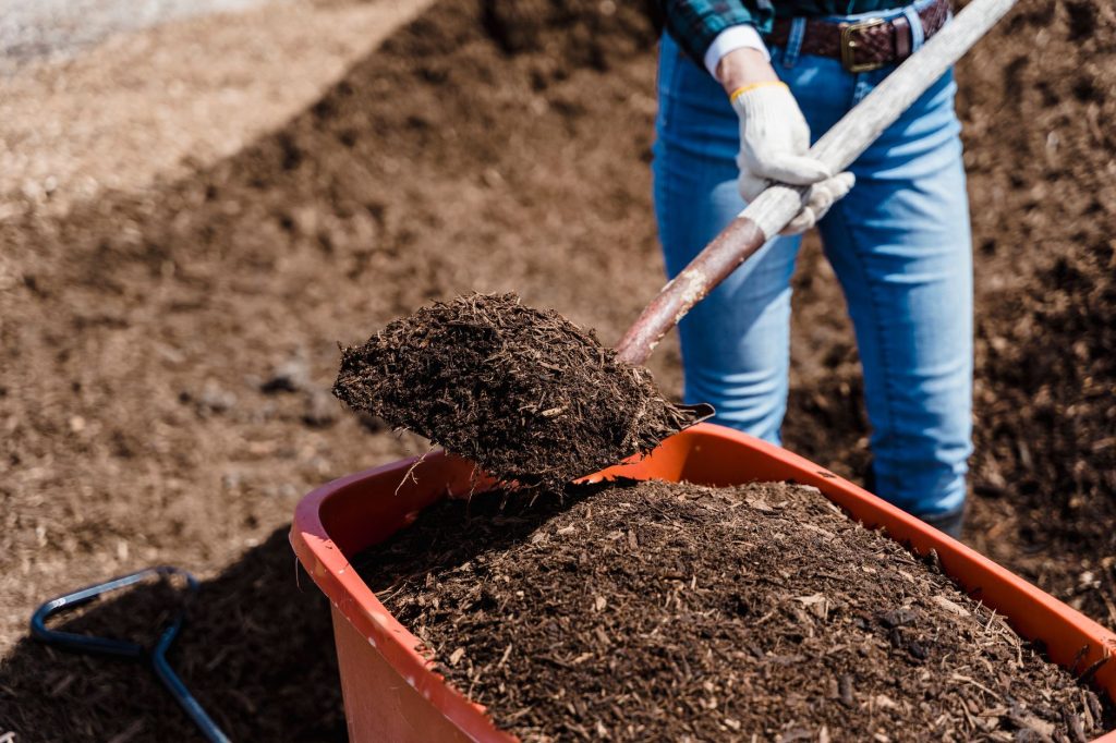 Personne chargeant du compost mûr dans une brouette avec une fourche
