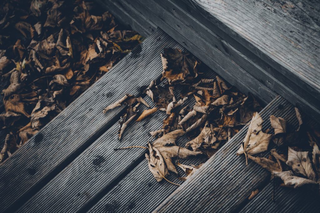Feuilles mortes brunes accumulées sur les lames sombres d'une terrasse en bois