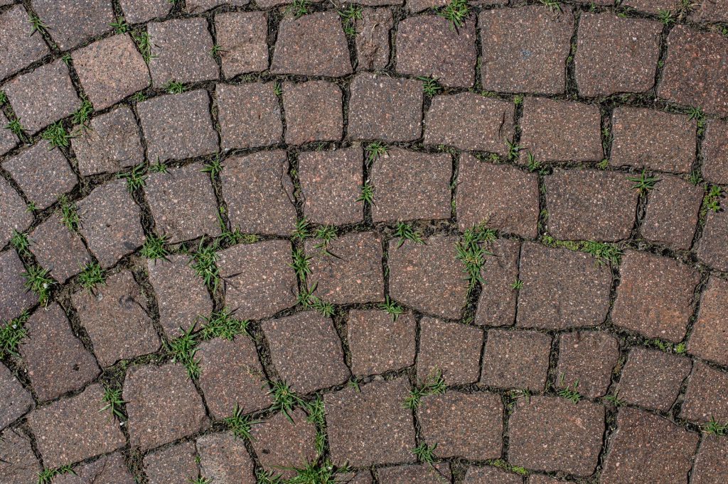Pavés disposés en arc de cercle avec de petites herbes qui poussent dans les joints