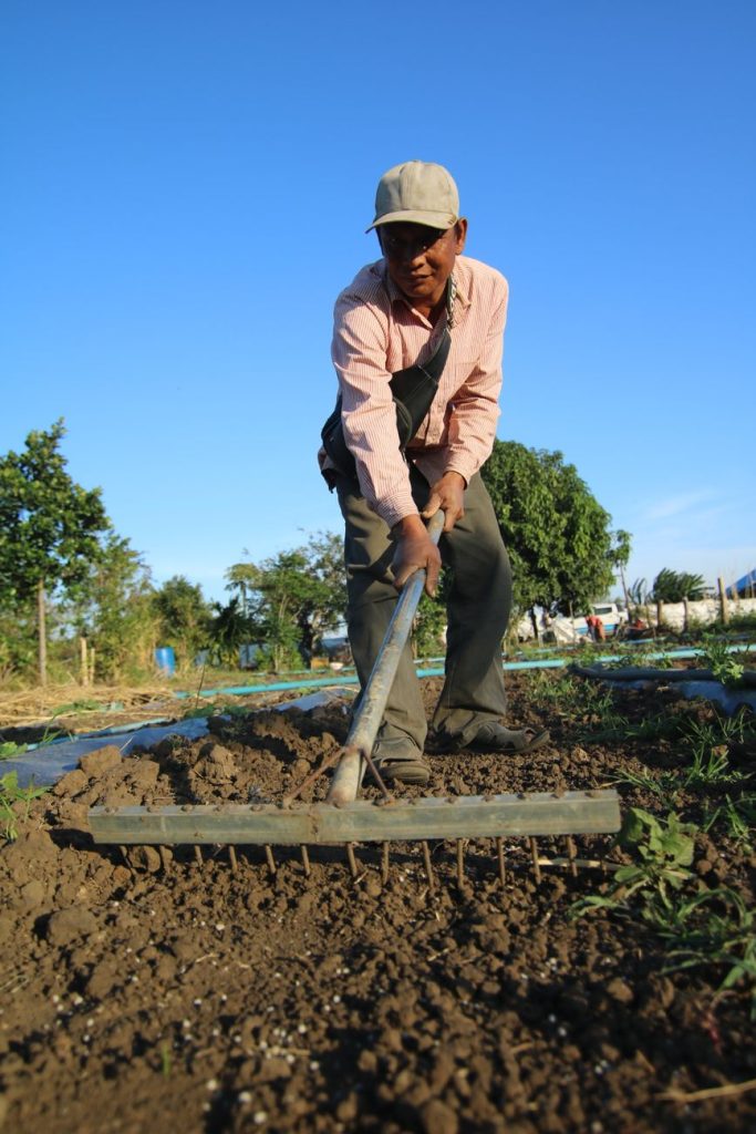 Jardinier ratissant une terre nue et fine pour la niveler avant de créer une pelouse